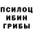 Псилоцибиновые грибы мицелий Arina Radovnya